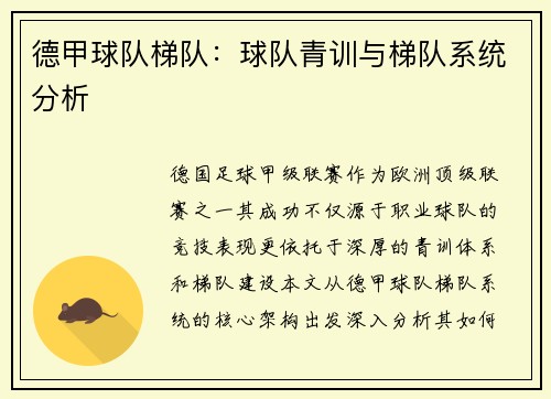 德甲球队梯队：球队青训与梯队系统分析
